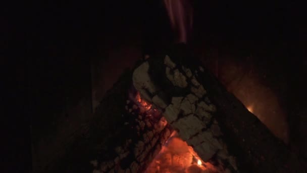 暖炉で燃える丸太 暖炉の火を燃やす — ストック動画