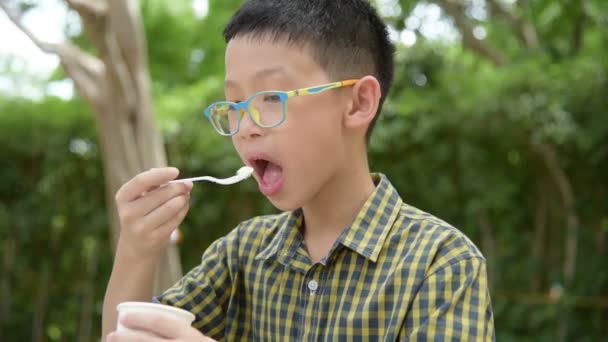 Jongen die ijs eet in het park — Stockvideo