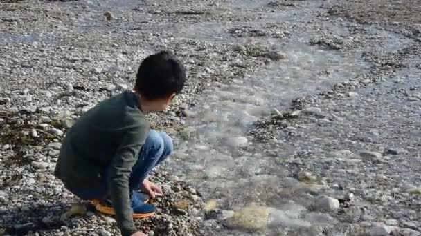 Niño lanzando piedras en pequeño río — Vídeos de Stock