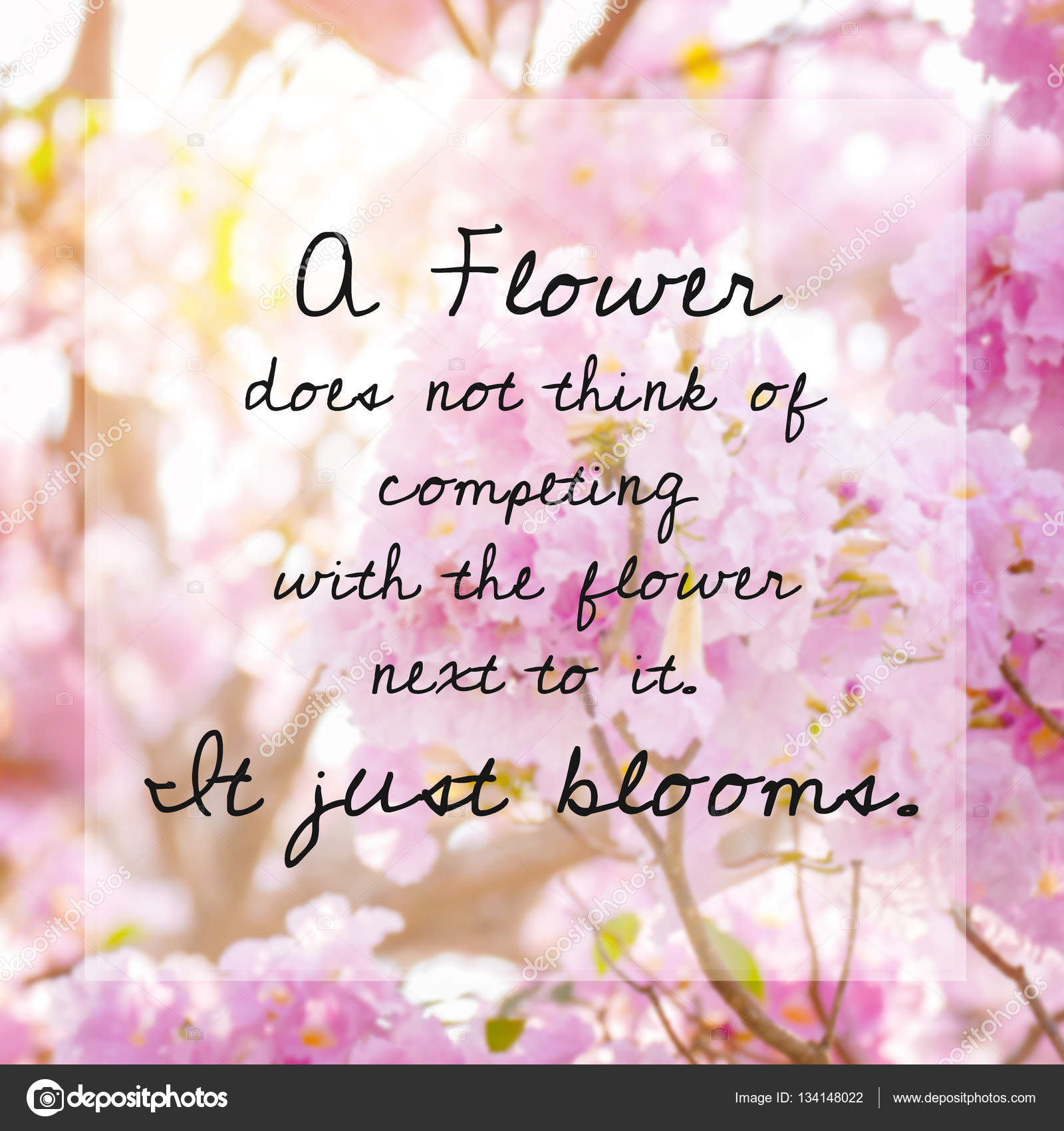 citat om blommor citat om blommor