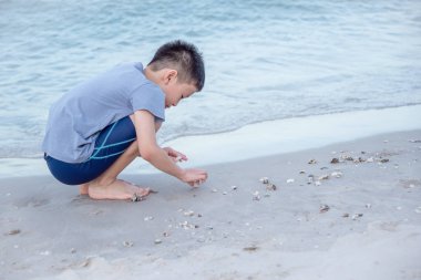 Çocuk kabukları sahilde toplama