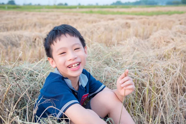 Chlapce, který seděl na seno v rýžové pole poté, co pěstuje — Stock fotografie