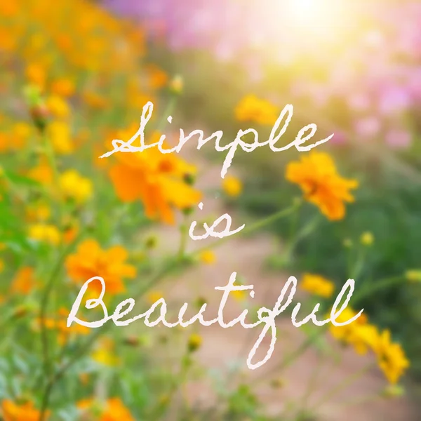 Citation d'inspiration : Simple is beautiful — Photo