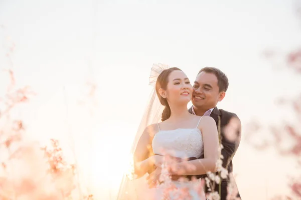 Aziatische Bruid Bruidegom Gebied Bij Zonsondergang — Stockfoto