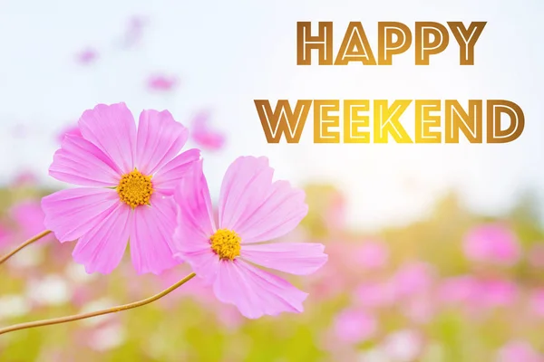 Happy Weekend Latar Belakang Bunga — Stok Foto