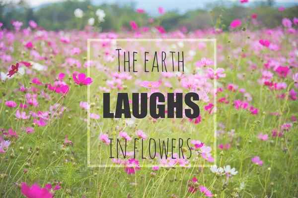 Inspirujący Cytat Ziemia Uśmiecha Się Kwiat — Zdjęcie stockowe