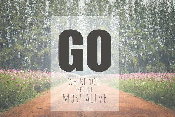 Inspirational quote : Go where you feel the most alive
