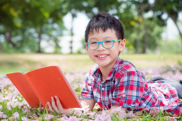 Αγόρι ανάγνωση βιβλίων στο πάρκο — Φωτογραφία Αρχείου