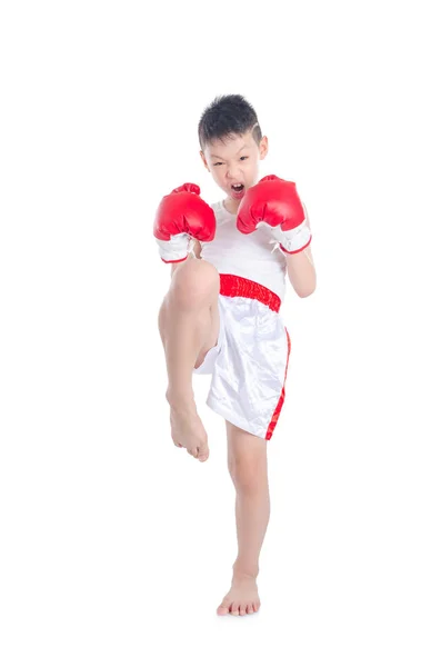 Молодой боксёр над белым — стоковое фото
