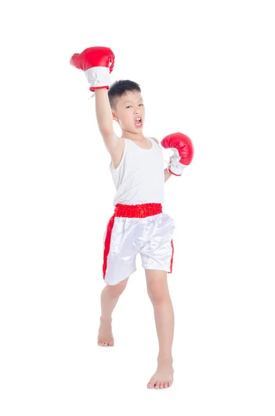 Chłopiec młody bokser nad białym — Zdjęcie stockowe