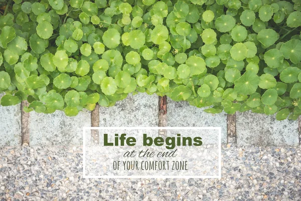 Inspirerande citat: livet börjar vid slutet av din komfortzon — Stockfoto