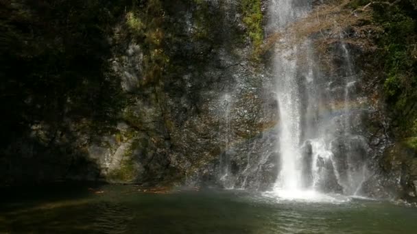 Cascata Mino Minoo Mino Minoh Nella Regione Osaka Kansai Giappone — Video Stock