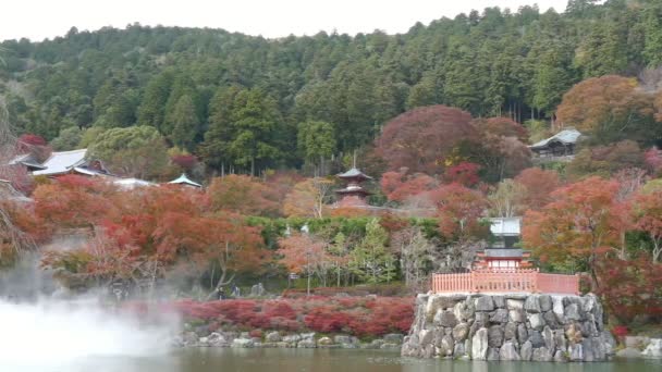 Осака Япония Ноября 2017 Храм Кацуодзи Красными Листьями Осенью Осаке — стоковое видео