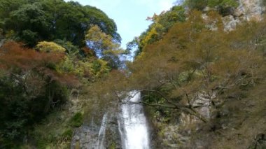 Mino (veya Minoo, Mino-o, Minoh) şelale Osaka'daki Kansai bölgesinde, Japonya. 