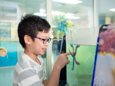 Genç Asyalı çocuk denizyıldızı akvaryum tankı içinde bakarak