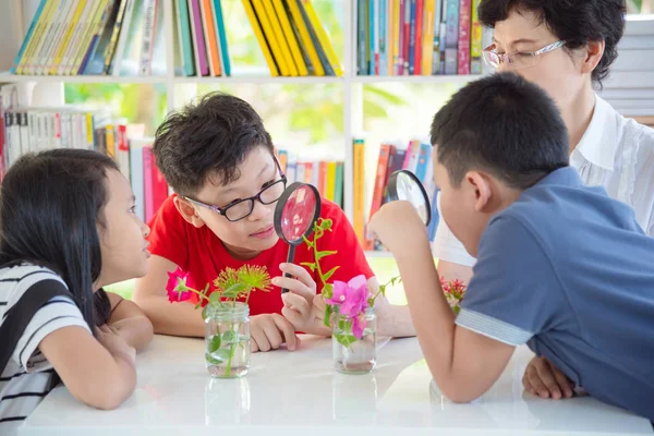 Asiatico Studente Guardando Lasciare Fiore Attraverso Lente Ingrandimento Vetro Biblioteca — Foto Stock