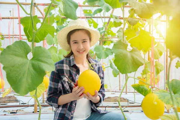 Mooie aziatische boer met verse meloen die gekweekt van haar boerderij — Stockfoto