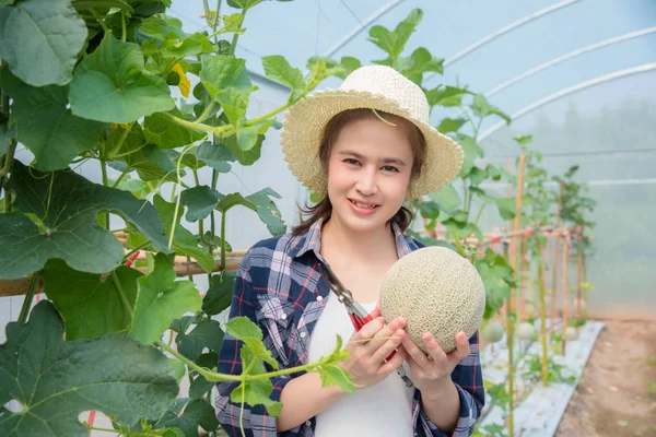 Mooie aziatische boer met verse meloen die gekweekt van haar boerderij — Stockfoto