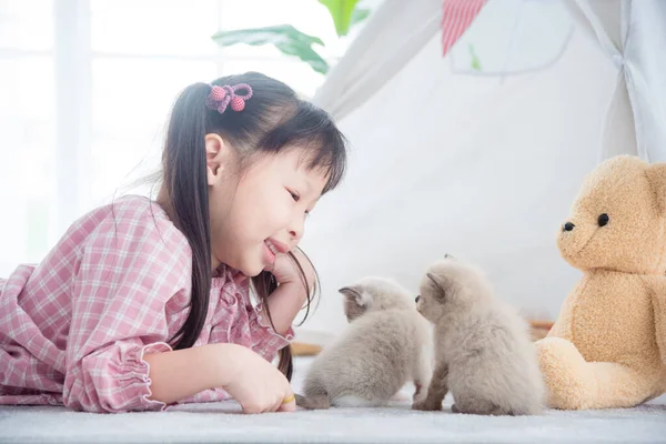 小さなアジアの女の子が床に横たわっていると遊びます彼女の小さな子猫と喜んで — ストック写真