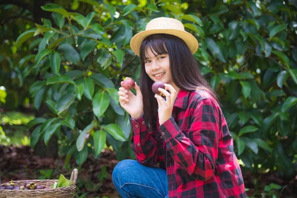 快乐的女农民 在她的有机花园 有机花园的概念中 抱着喜鹊的果实和微笑 — 图库照片