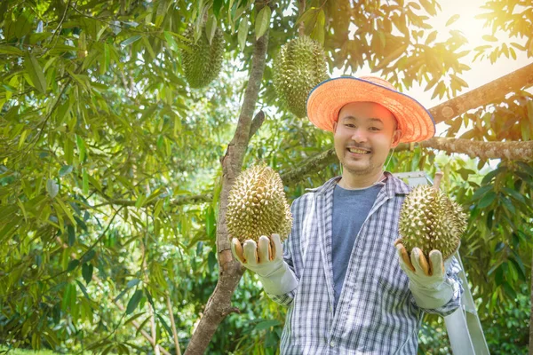 Asyalı Çiftçi Durian Bahçesinde Tutuyor Mutlu Bir Şekilde Gülümsüyor Durian — Stok fotoğraf