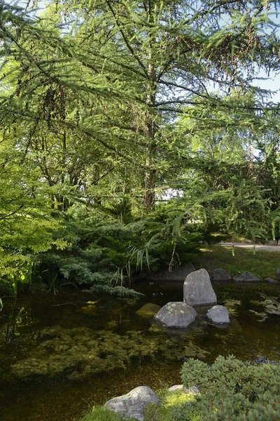 Jardín Japonés en verano — Foto de Stock