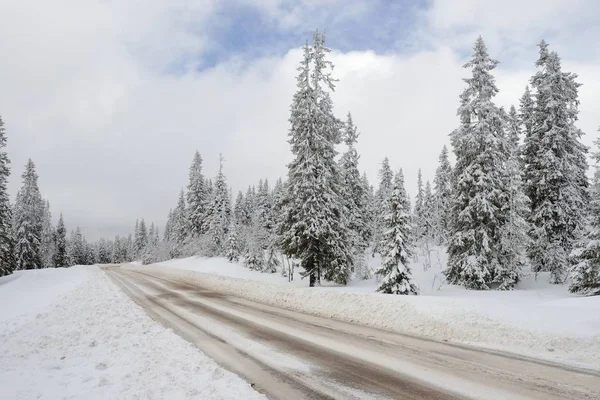 Estrada através de um País das Maravilhas de Inverno — Fotografia de Stock
