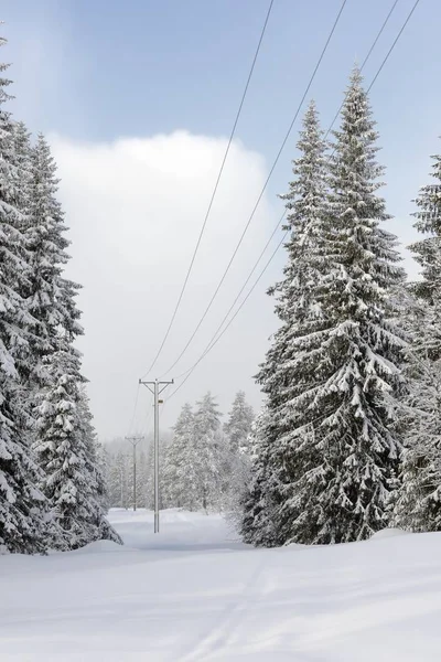Elektrische leidingen in winterlandschap — Stockfoto