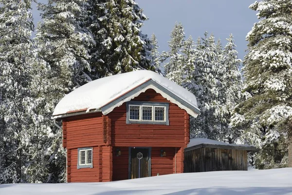 Kleine Zweedse cottage — Stockfoto