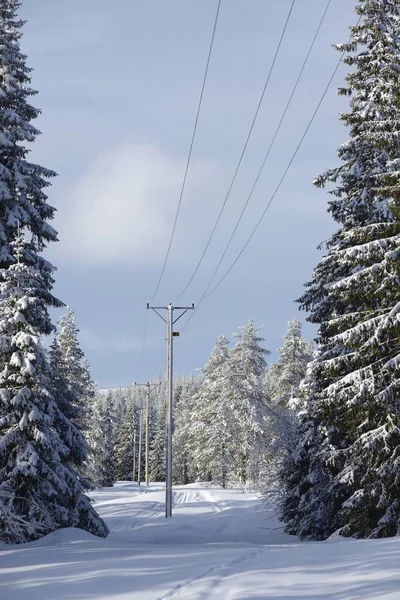 Paisagem de inverno com linha de energia — Fotografia de Stock