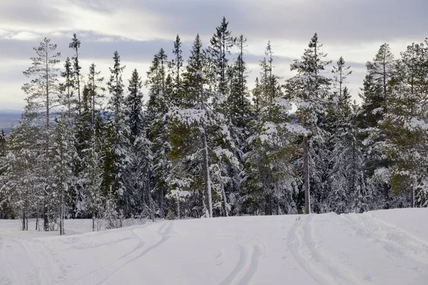 Ślady Śniegu Idre Szwecji — Zdjęcie stockowe