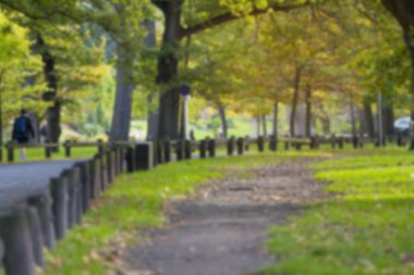 sonbahar parkta bulanık arka plan