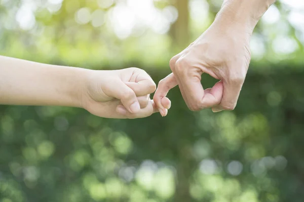 Eine Mutter und ihr Kind, die ihre Finger haken, um ein Versprechen abzugeben — Stockfoto