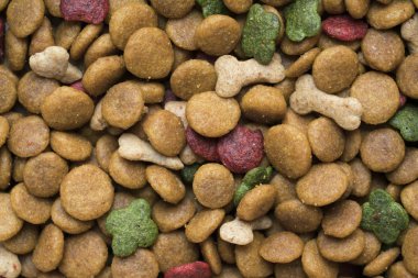 tahıl köpek maması sağlıklı köpek için yukarıya kapatmak 