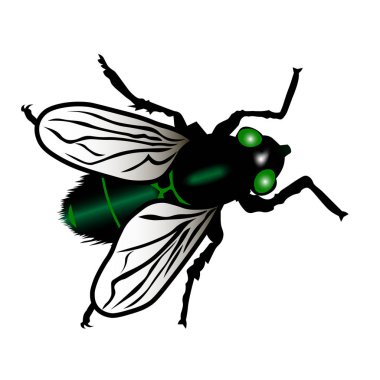 yeşil gübre beyaz arka planda izole bir nesne olarak uçar