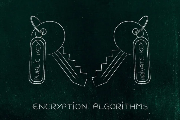 Coincidencia de claves privadas y públicas, concepto de algoritmos de cifrado — Foto de Stock
