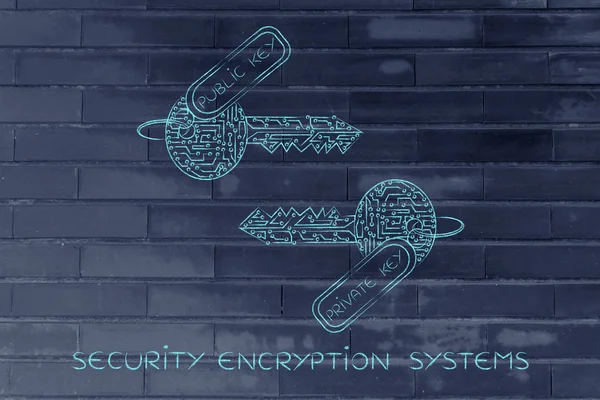 Matchande privat & offentliga nycklar av kretsar, kryptering conc — Stockfoto