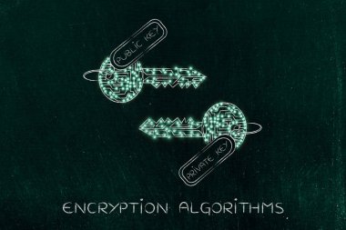 devrelerin LED'ler, şifreleme con ile yapılan özel ve genel anahtarlar