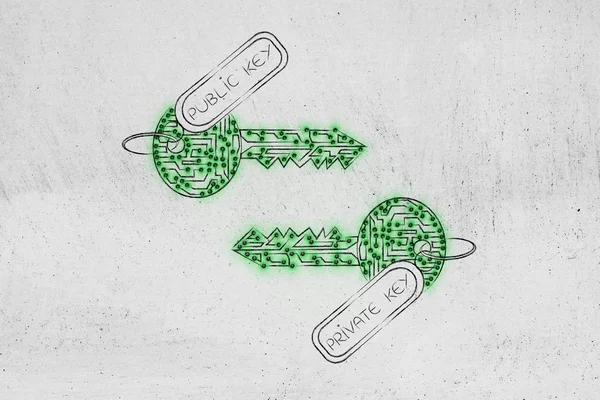 Private & public keys terbuat dari sirkuit dengan leds, encryption con — Stok Foto