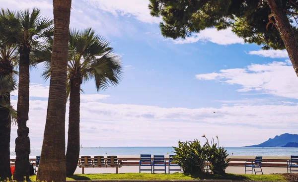 Promenade balnéaire, palmes et chaises bleues de la célèbre Croisette de Cannes — Photo