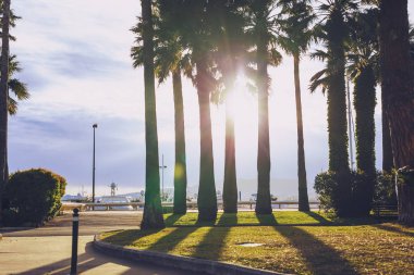 Bağlantı noktası Canto Limanı ve Bahçe Cannes'ın şehir merkezinde