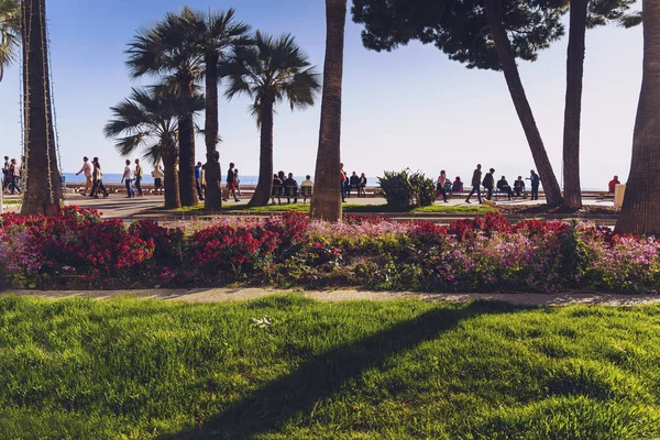 La célèbre promenade balnéaire de la Croisette de Cannes avec beaucoup de printemps bl — Photo