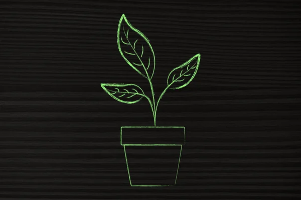 Zöld növény váza ábrán — Stock Fotó
