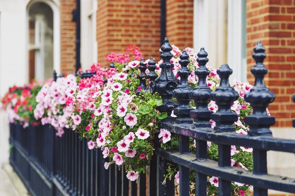 Bunte blumen schmücken die straßen von london — Stockfoto