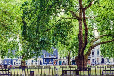 Berkeley Square Gardens Mayfair merkezi Londra'da bulunan