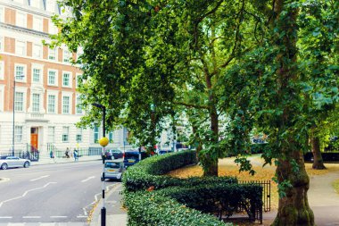  Güzel Şehir Parkı Londra ' 