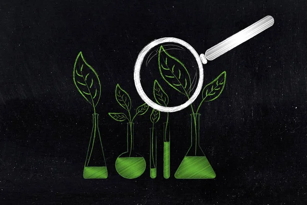 Blätter wachsen in Laborflaschen statt in chemischen Lösungen — Stockfoto
