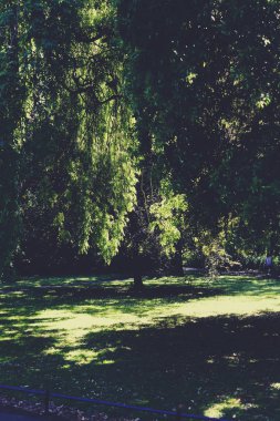 Dublin şehir merkezinde St. Stephen's Green park detay