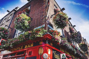 Temple Bar Du isim bölgesinde Irish pub