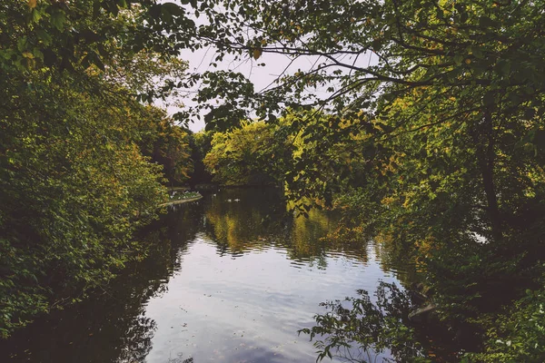 St. Stephen's Green park su birikintisi ile erken auto yakınındaki detay
